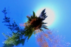 Aptos3_Capture