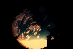 Aptosi_Capture15