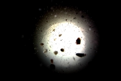 Aptosi_Capture6