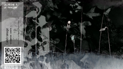 07_PECHE_FASCINE_01