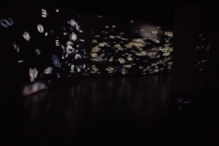 IMAG0085