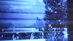 Claude_LAnthrope_terrainVague_7552890388325532_n