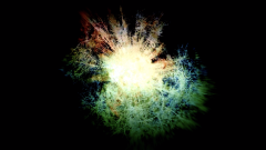 Screen-Shot-2020-12-21-at-7.06.01-PM