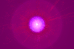 Microcosmes-2Capture