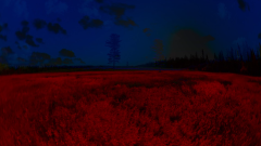 Microcosmes-3Capture