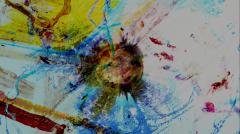 Microcosmes-5Capture