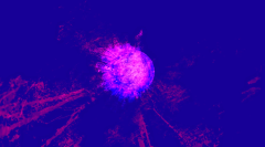 Microcosmes-7Capture