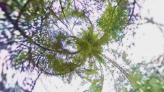 Screen-Shot-2021-04-27-at-1.08.27-PM