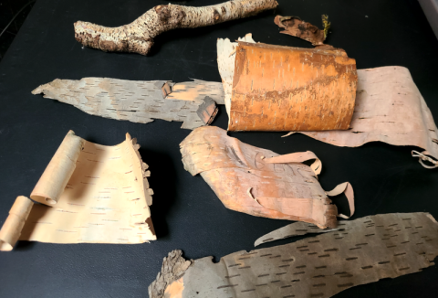 Screenshot-2025-06-06-at-1.54.00 PM